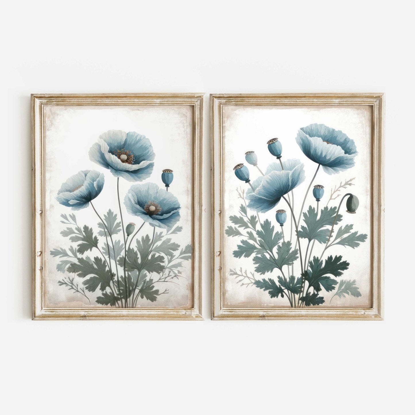 Blue Himalayan Poppy Prints, Wildflower Wall Art, Floral Decor - WildfieldPrints