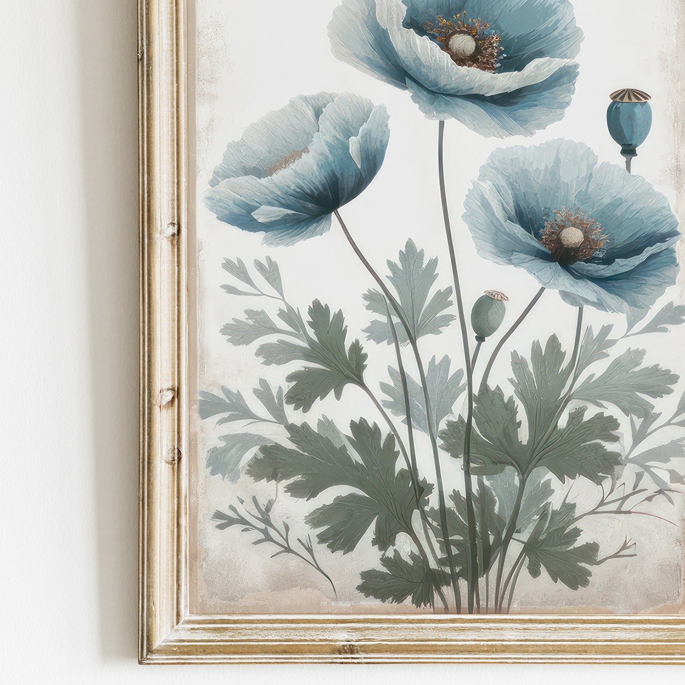 Blue Himalayan Poppy Prints, Wildflower Wall Art, Floral Decor - WildfieldPrints