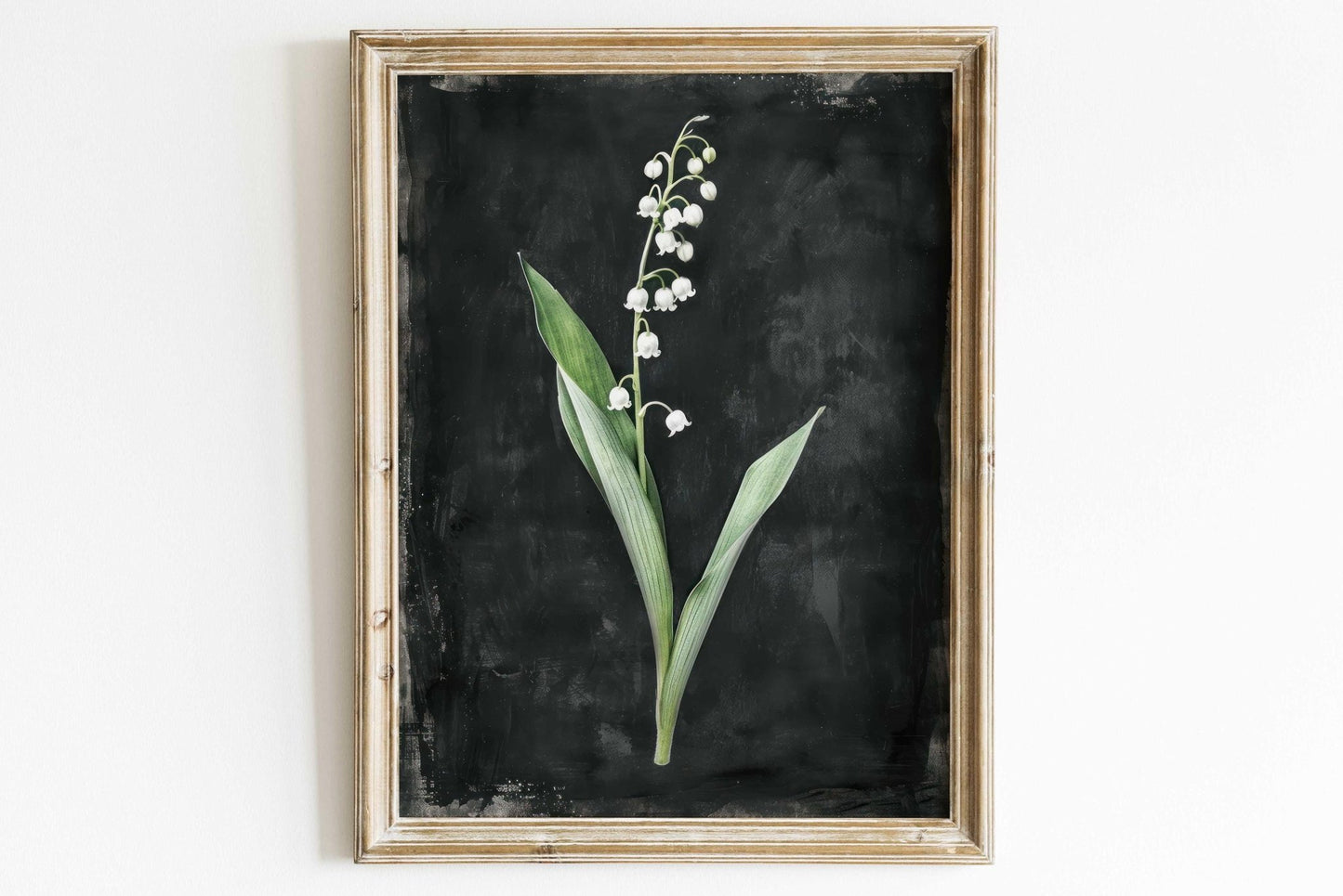 Lily of the Valley Art, Black Floral Print, Vintage Botanical Decor - WildfieldPrints