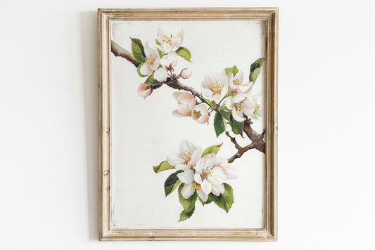 Apple Tree Branch Art, Rustic Floral Decor, Apple Blossom Design - WildfieldPrints