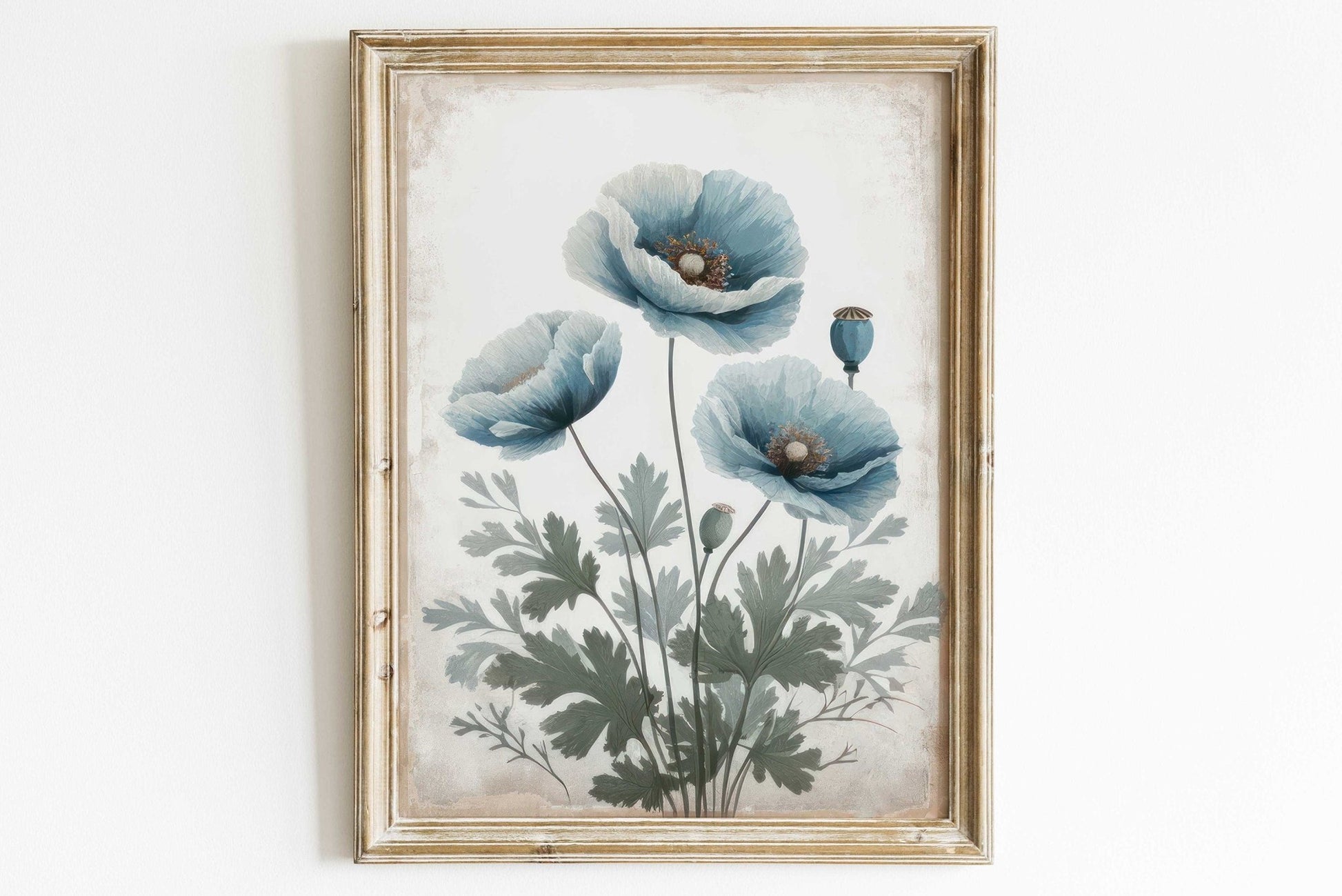 Blue Himalayan Poppy Flower Paintings, Floral Wall Decor, Floral Art - WildfieldPrints