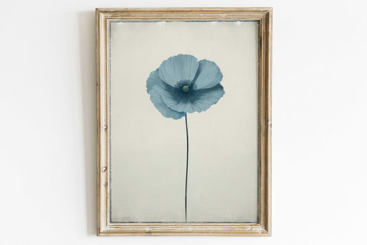 Blue Himalayan Poppy Flower Print, Vintage Minimalist Wall Decor, Floral Art - WildfieldPrints
