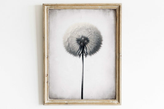Dandelion Wall Art, Minimalist Flower Decor, Vintage Botanical Print - WildfieldPrints