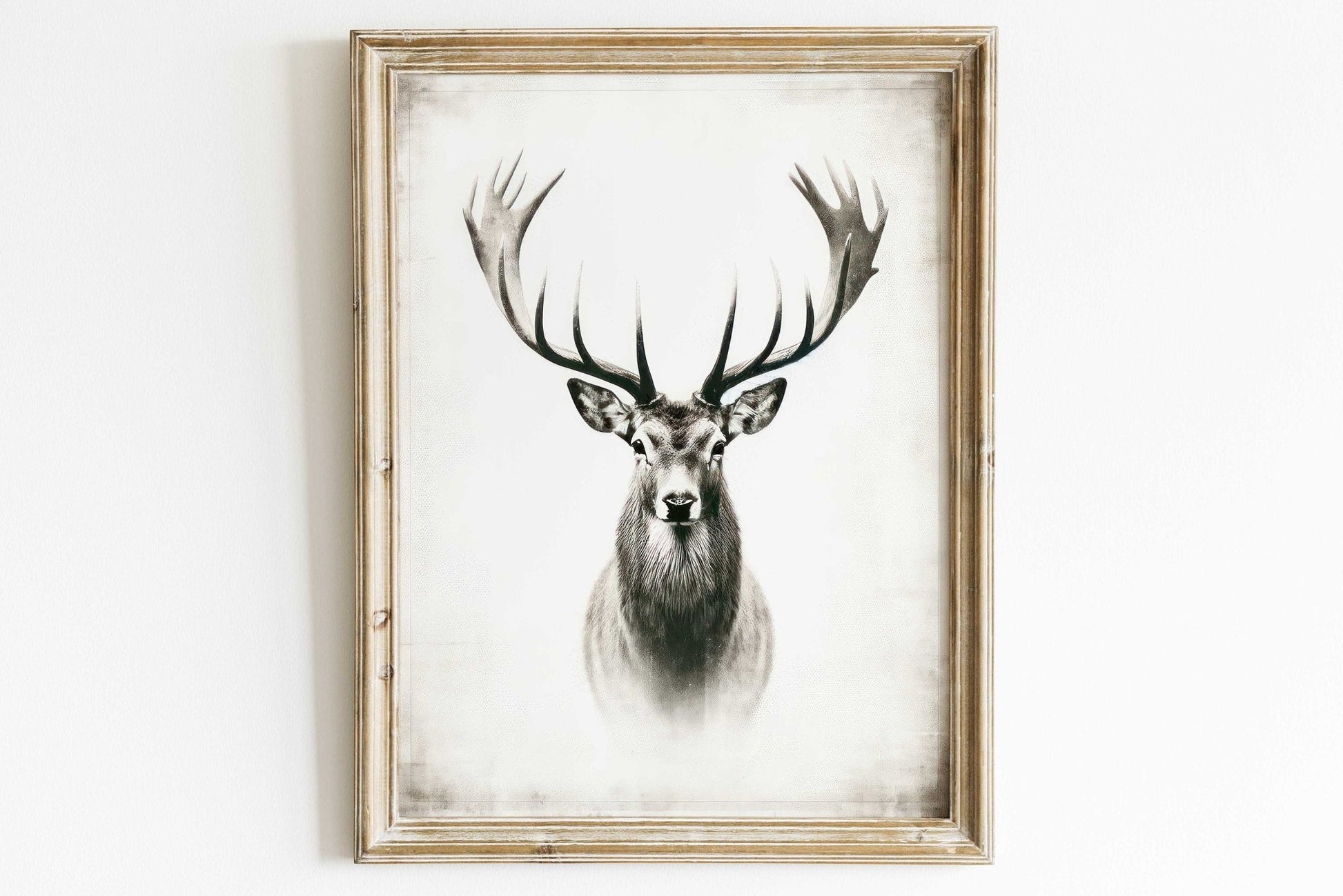 Deer Wall Art, Forest Animal Decor, Modern Farmhouse Print - WildfieldPrints