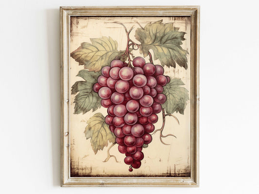 Vintage Grape Vine Art—Elevate Your Space into a Wine Lover's Haven—Up to 25 Custom Sizes!