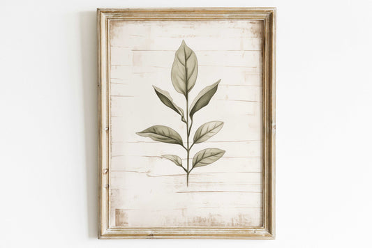 Rustic Botanical Wall Decor, Vintage Minimalist Floral Art, Sage Green Wall Art, Plant Wall Art, Distressed Wall Art, PRINTABLE Floral Decor