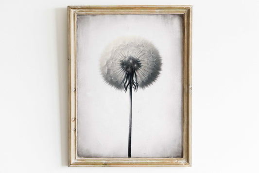 Dandelion Wall Art, Minimalist Dandelion Art Print, Vintage Flower Wall Art, Modern Farmhouse Wall Art, Botanical Print,PRINTABLE Floral Art