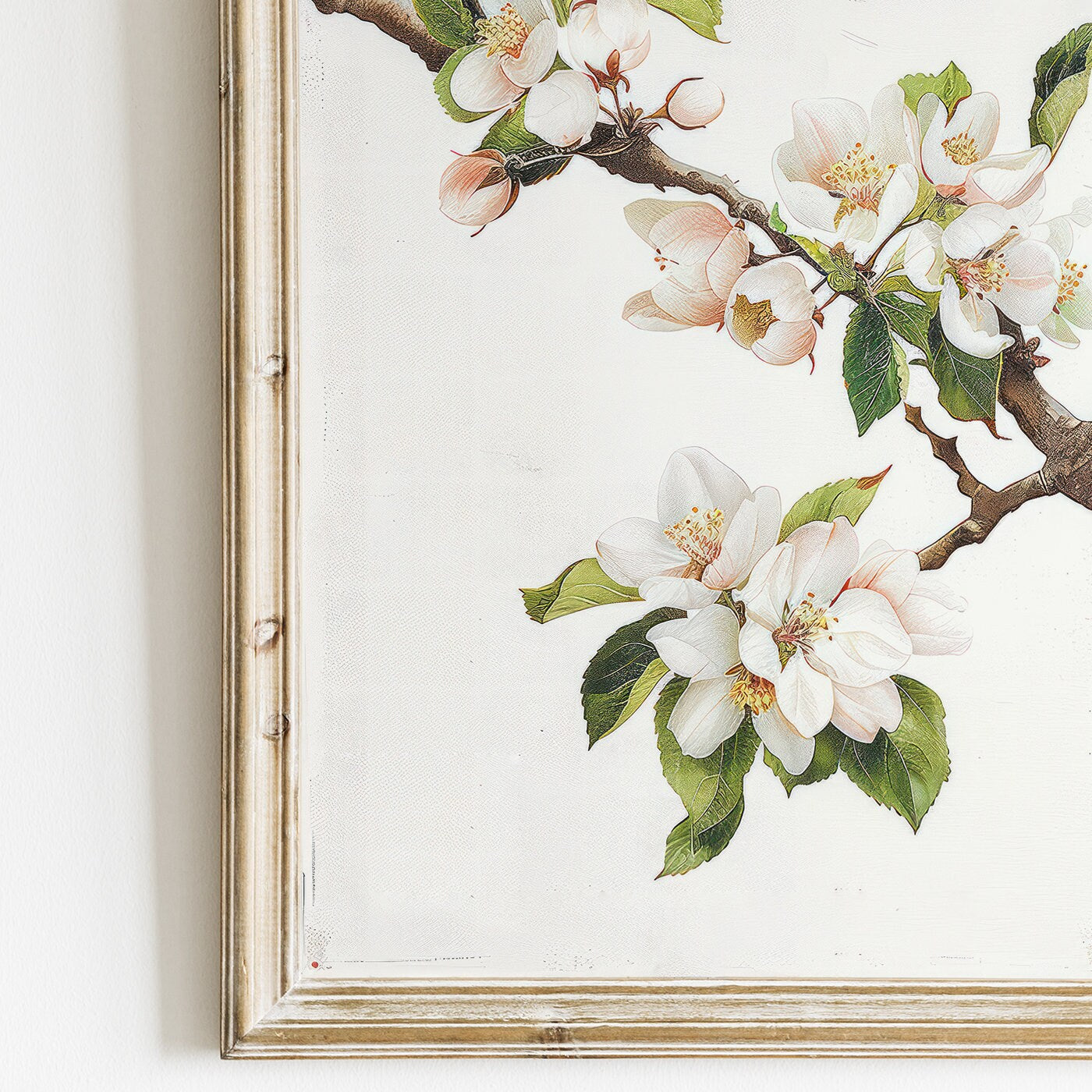 Apple Tree Branch Print, Apple Blossom, Apple Tree Painting, Apple Tree Flowers, Rustic Floral Art, White Flowers Print, PRINTABLE Art