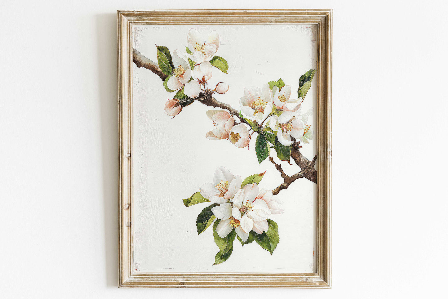 Apple Tree Branch Print, Apple Blossom, Apple Tree Painting, Apple Tree Flowers, Rustic Floral Art, White Flowers Print, PRINTABLE Art