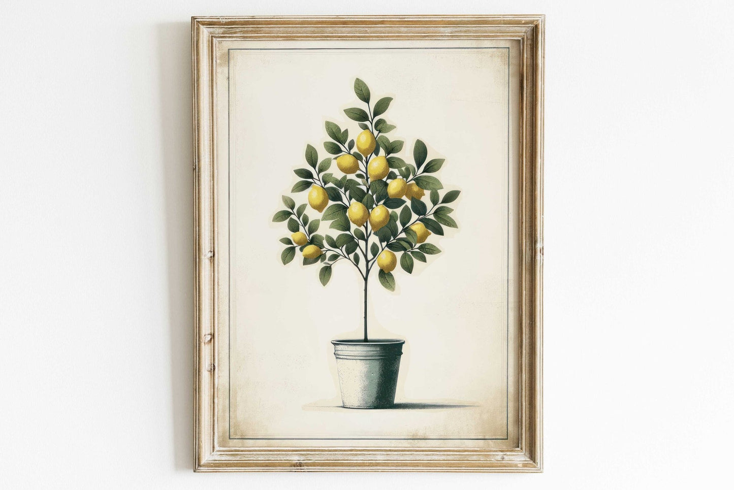 Lemon Tree Print, Mediterranean Wall Decor, Modern Farmhouse Art - WildfieldPrints