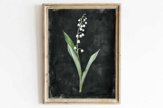 Lily of the Valley Art, Black Floral Print, Vintage Botanical Decor - WildfieldPrints