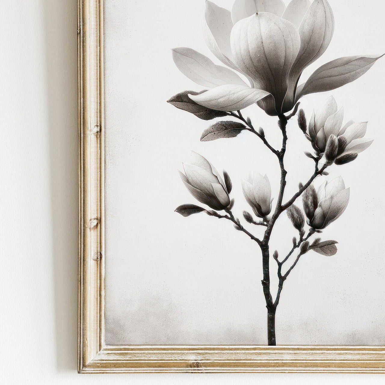 Magnolia Print – Floral Living Room Wall Decor