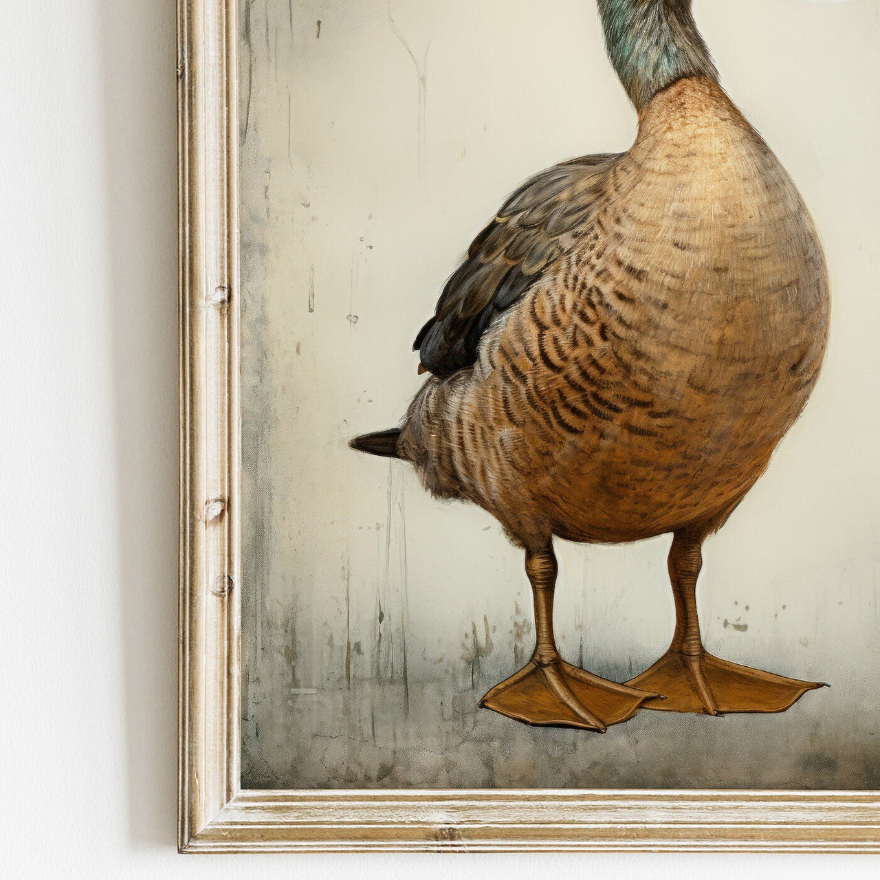 Mallard Duck Wall Art – Bird Vintage Room Print