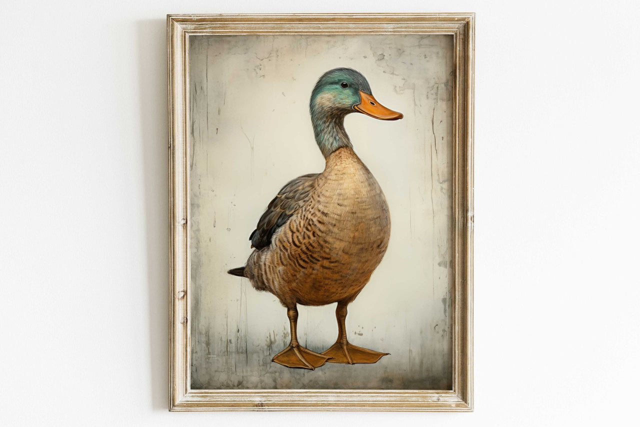 Mallard Duck Wall Art – Bird Vintage Room Print