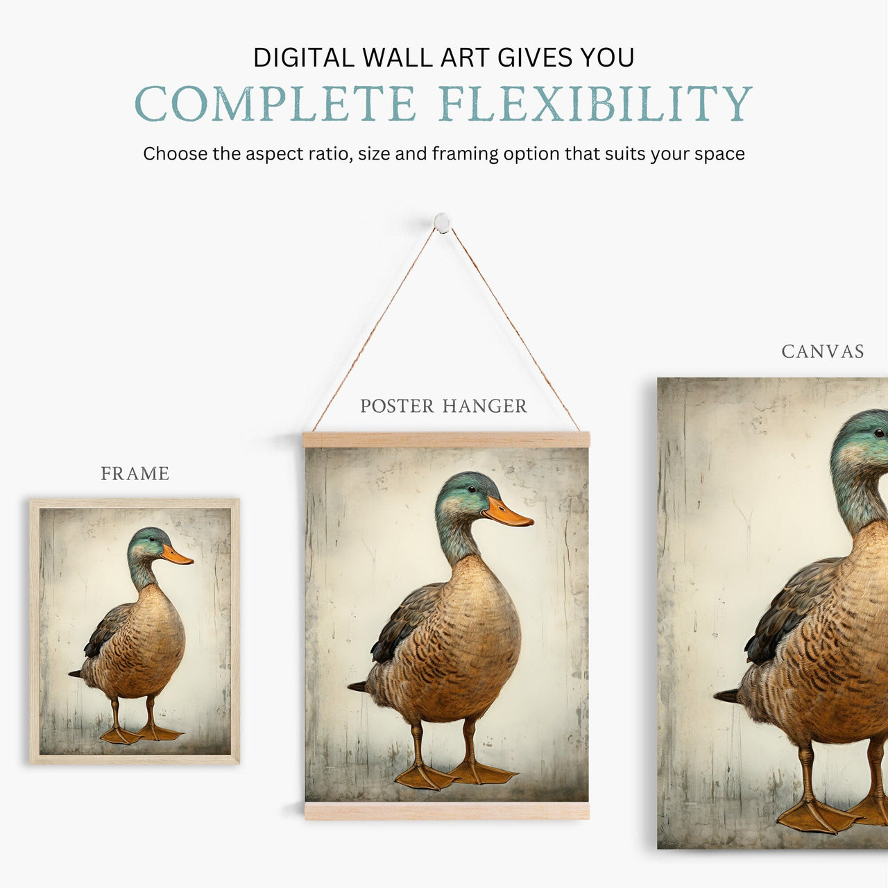 Mallard Duck Wall Art – Bird Vintage Room Print