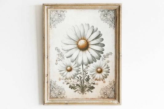 Daisy Flower Wall Art – Floral Living Room Print