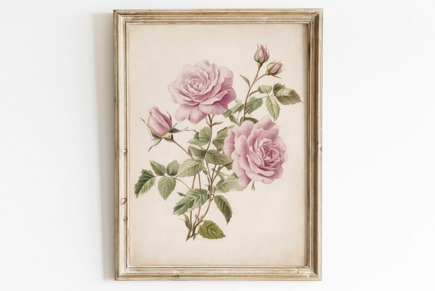 Pink Roses Art, Vintage Floral Decor, Elegant Wall Display - WildfieldPrints