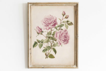 Pink Roses Art, Vintage Floral Decor, Elegant Wall Display - WildfieldPrints
