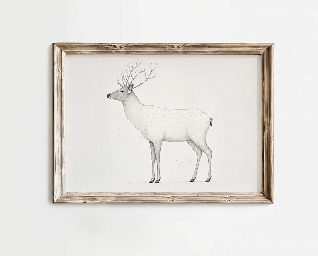 White Reindeer Wall Art – Animal Living Room Print