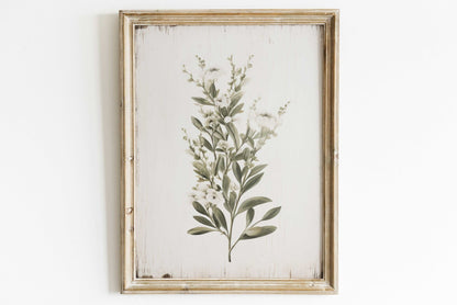 Rustic Floral Wall Decor, White Flower Print, Minimalist Kitchen Art - WildfieldPrints