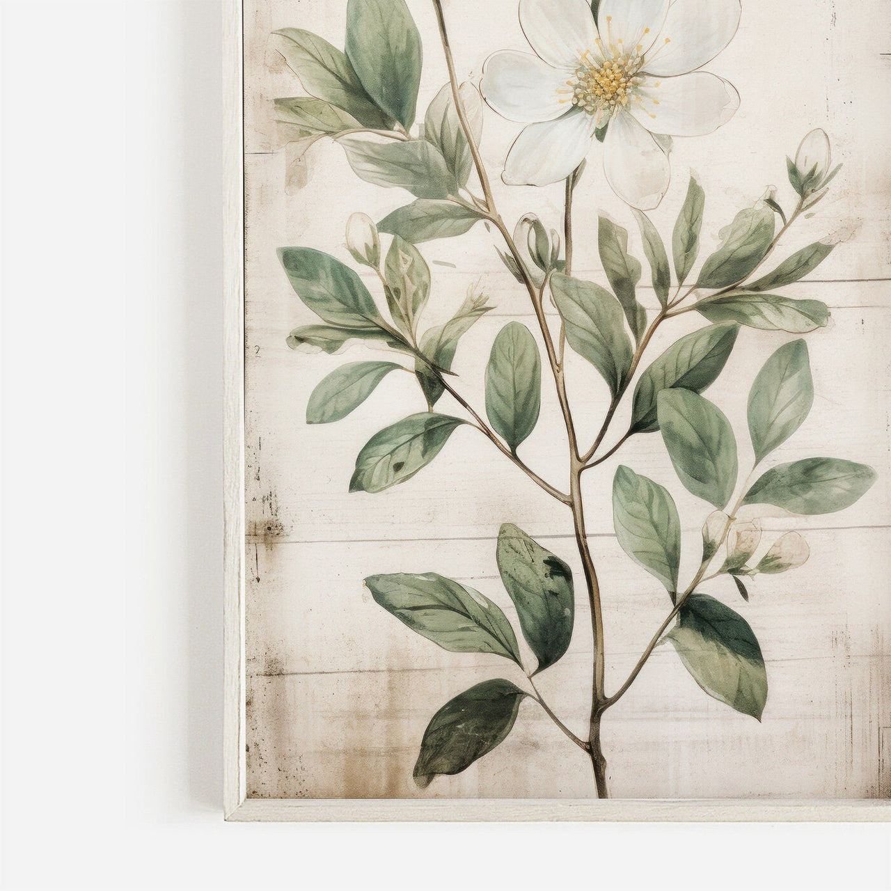 White Flower Wall Art – Floral Kitchen Print