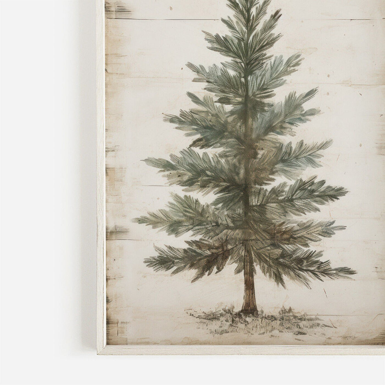 Spruce Tree Print – Holiday Wall Art for Living Room