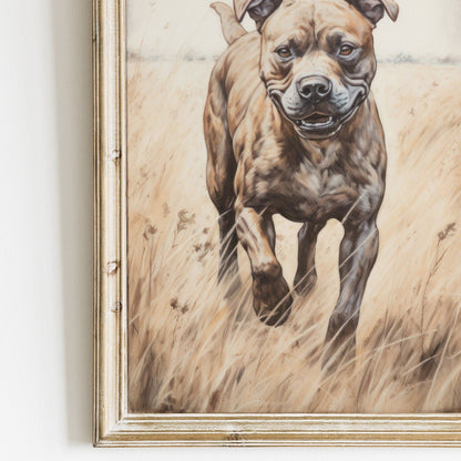Staffordshire Bull Terrier Art, Rustic Dog Decor, Staffy Portrait - WildfieldPrints