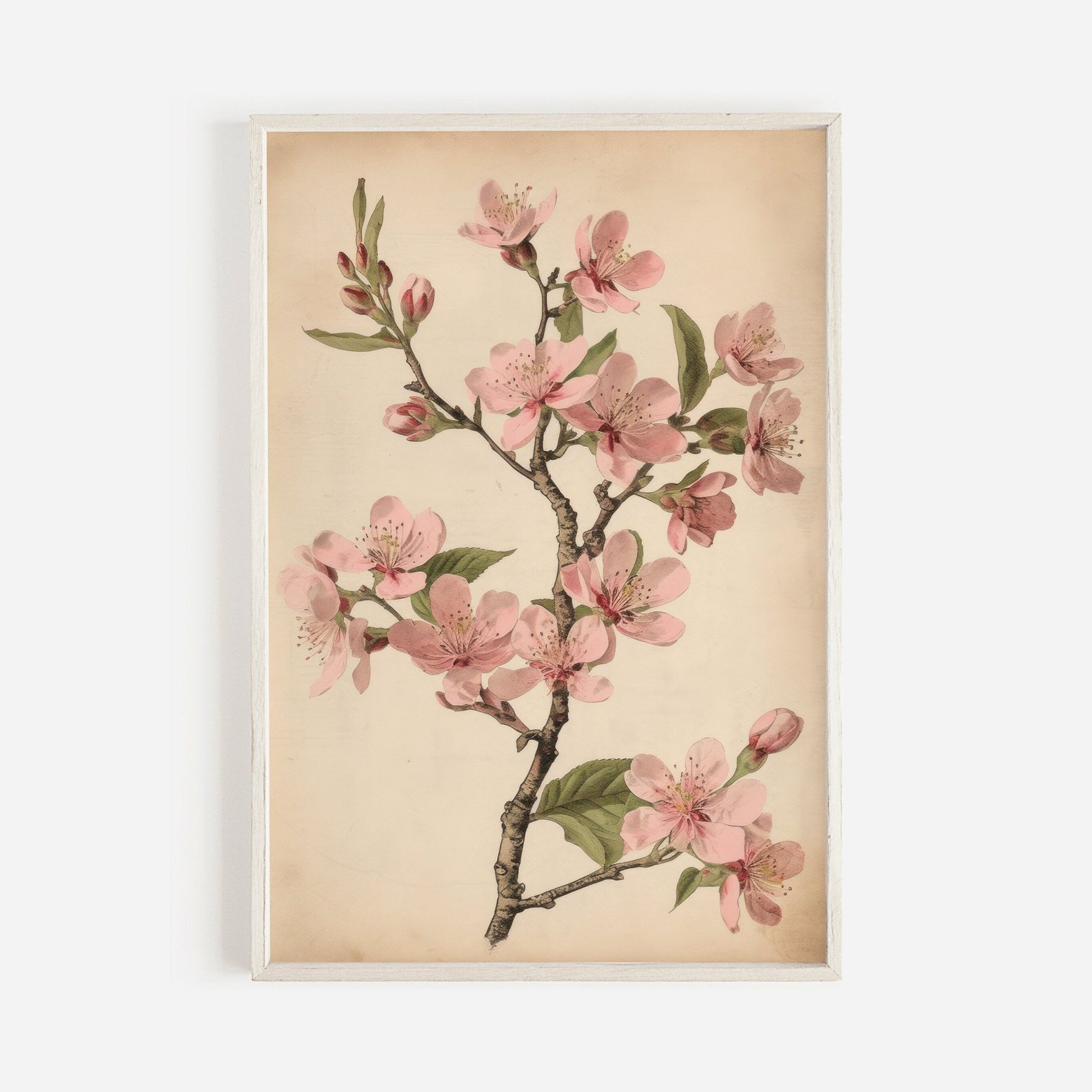 Vintage Cherry Blossom Wall Art, Pink Floral Decor, French Farmhouse Style - WildfieldPrints