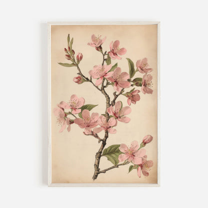 Vintage Cherry Blossom Wall Art, Pink Floral Decor, French Farmhouse Style - WildfieldPrints