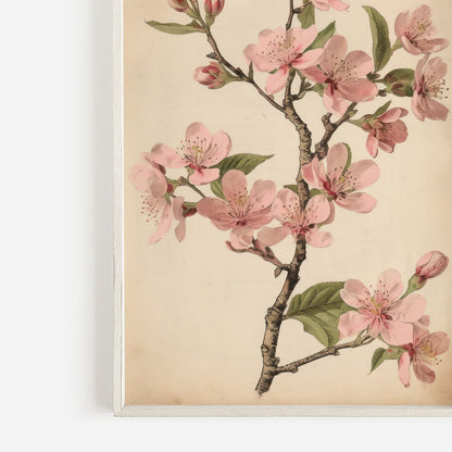 Vintage Cherry Blossom Wall Art, Pink Floral Decor, French Farmhouse Style - WildfieldPrints
