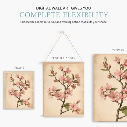 Vintage Cherry Blossom Wall Art, Pink Floral Decor, French Farmhouse Style - WildfieldPrints