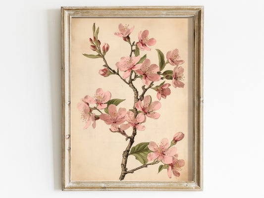 Vintage Cherry Blossom Wall Art, Pink Floral Decor, French Farmhouse Style - WildfieldPrints