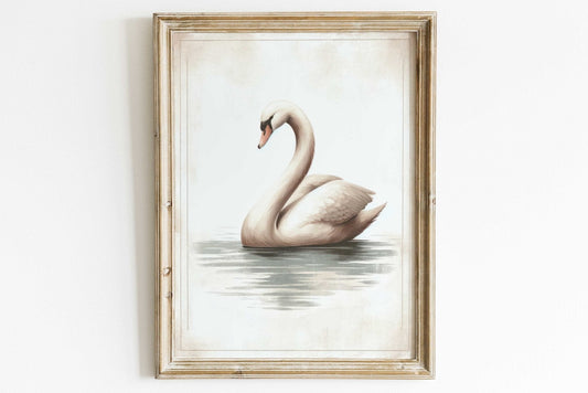 Vintage Swan Print, Bird Painting, Rustic Farmhouse Wall Decor - WildfieldPrints