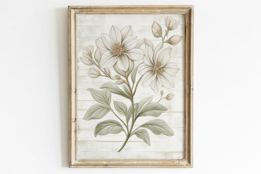 White Flower Print, Rustic Floral Wall Decor, Farmhouse Aesthetic - WildfieldPrints