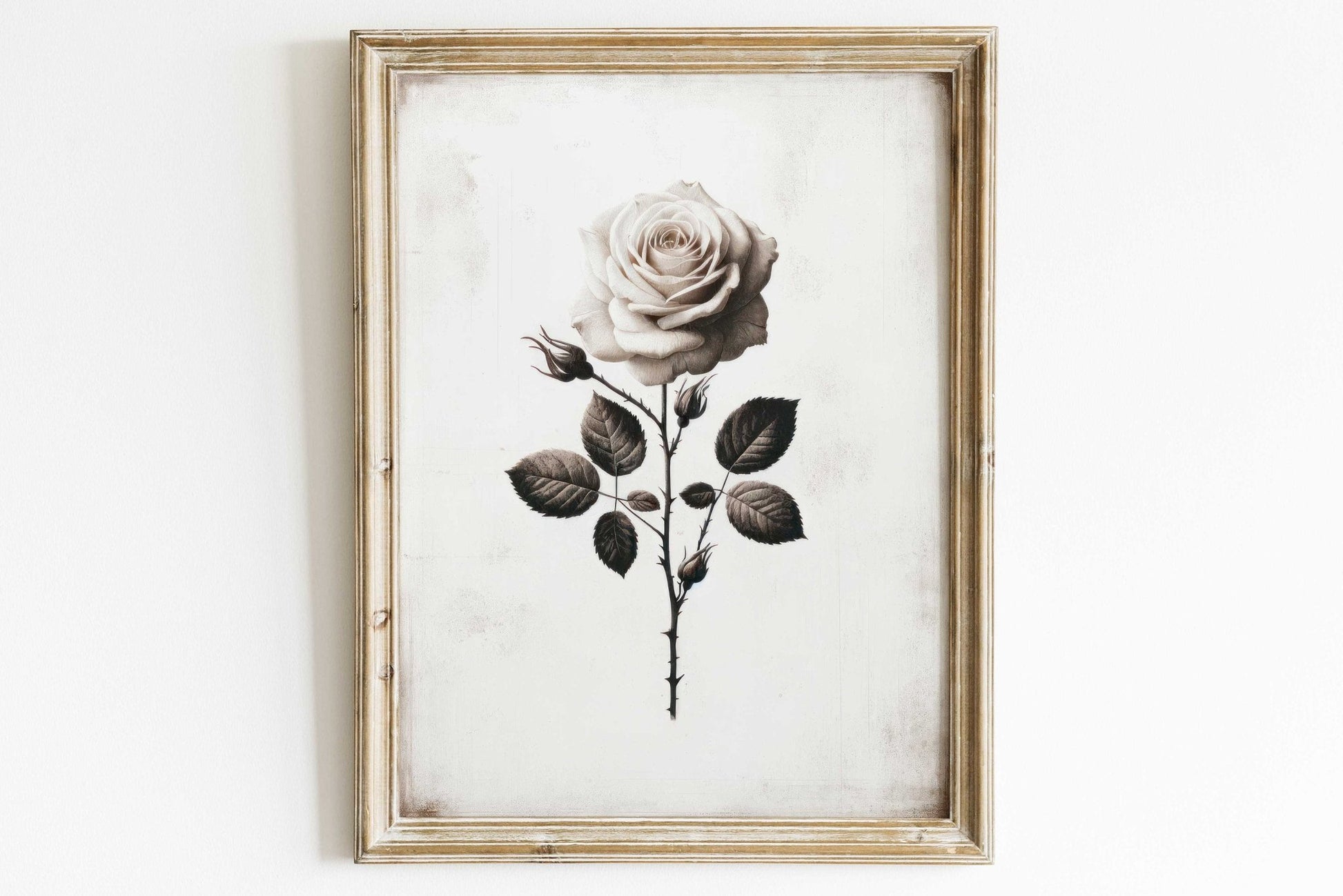 White Rose Painting, Rustic Floral Decor, Black & White Wall Art - WildfieldPrints