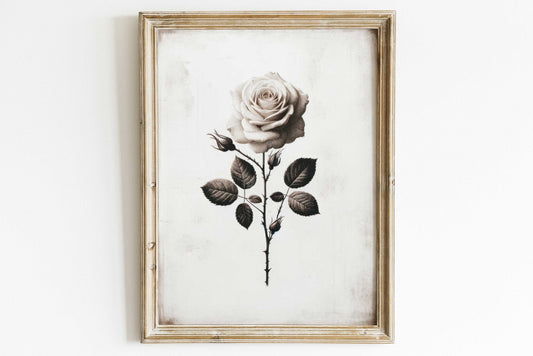 White Rose Painting, Rustic Floral Decor, Black & White Wall Art - WildfieldPrints