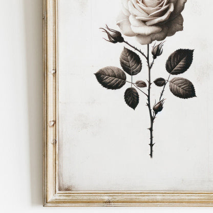 White Rose Painting, Rustic Floral Decor, Black & White Wall Art - WildfieldPrints