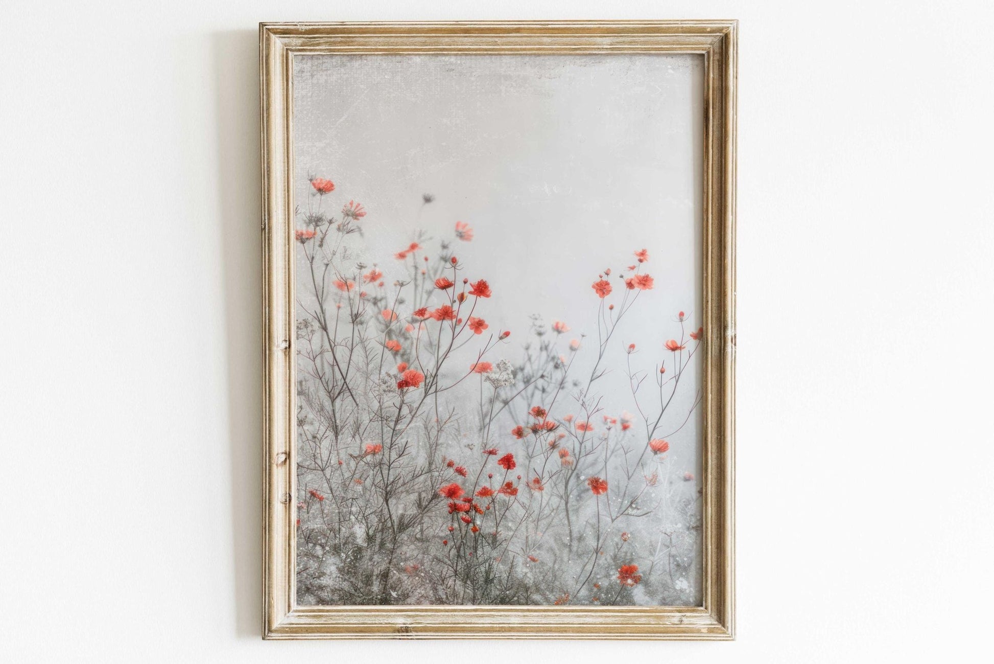 Wildflower Field Prints, Rustic Floral Wall Decor, Botanical Art - WildfieldPrints
